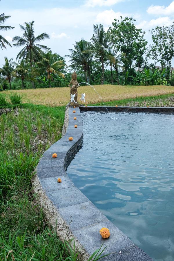 Kidem Ubud Villas Экстерьер фото