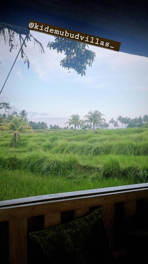 Kidem Ubud Villas Экстерьер фото